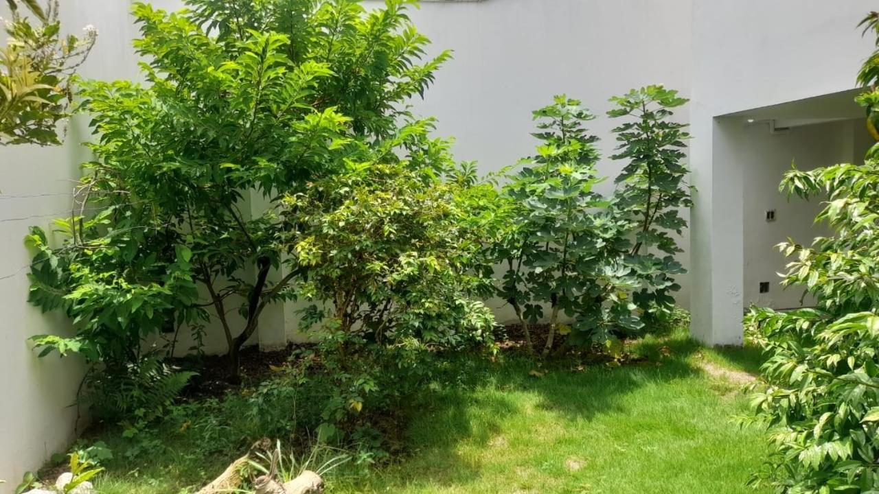 Casa De Praia Cabo Frio Ate 10 Hospedes Eksteriør billede